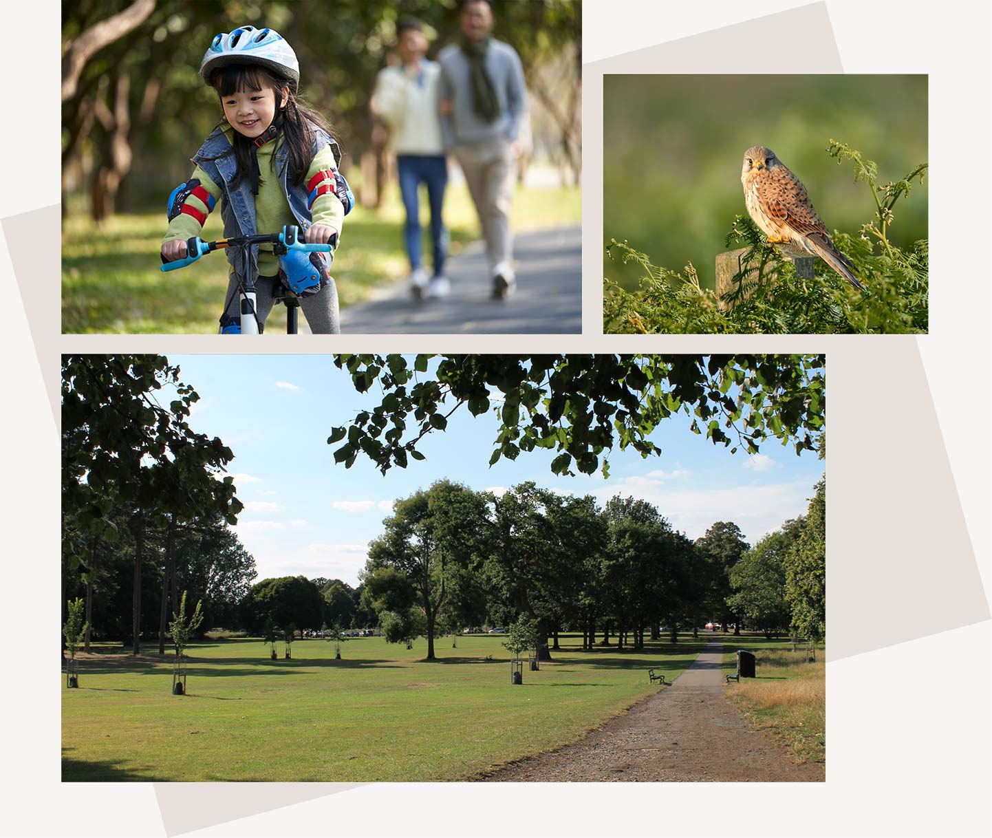 A truly sustainable neighbourhood